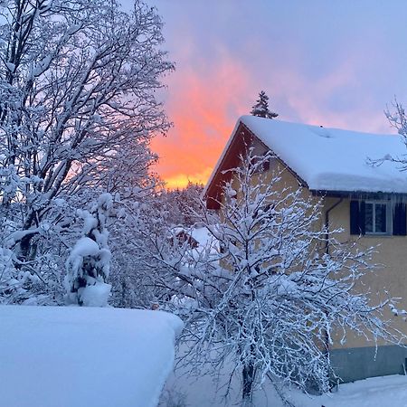 Ferienwohnung Haus Am Bach In Toggenburg Wildhaus Dış mekan fotoğraf