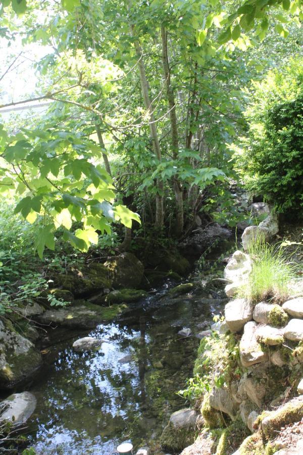 Ferienwohnung Haus Am Bach In Toggenburg Wildhaus Dış mekan fotoğraf