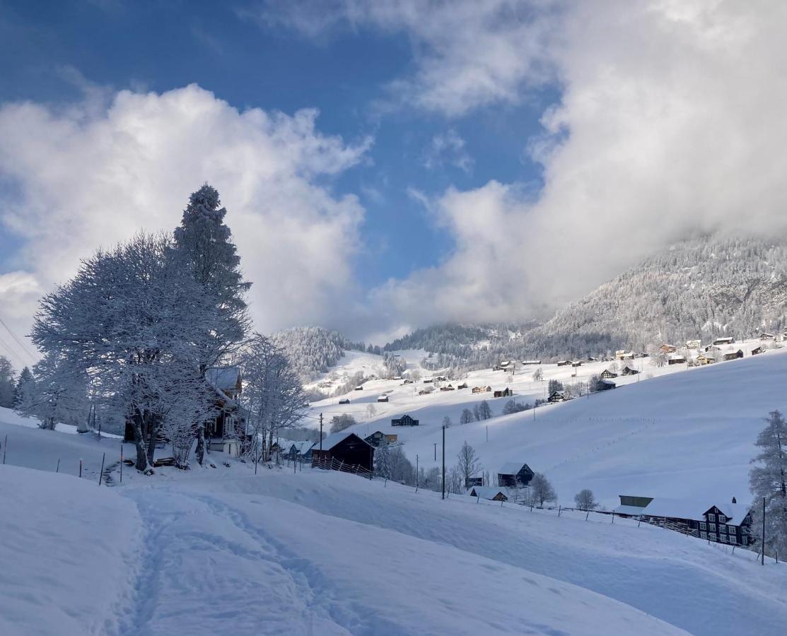 Ferienwohnung Haus Am Bach In Toggenburg Wildhaus Dış mekan fotoğraf