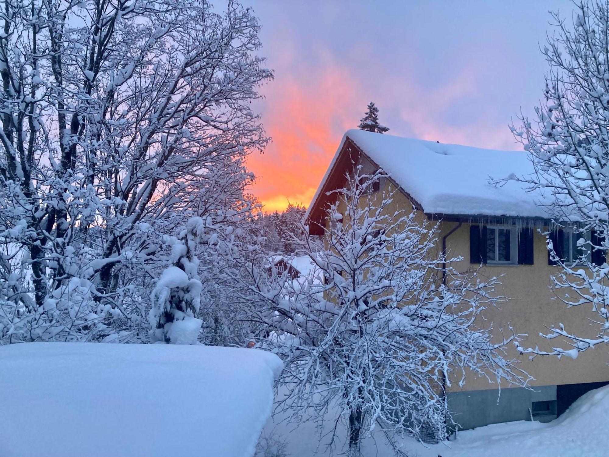 Ferienwohnung Haus Am Bach In Toggenburg Wildhaus Dış mekan fotoğraf