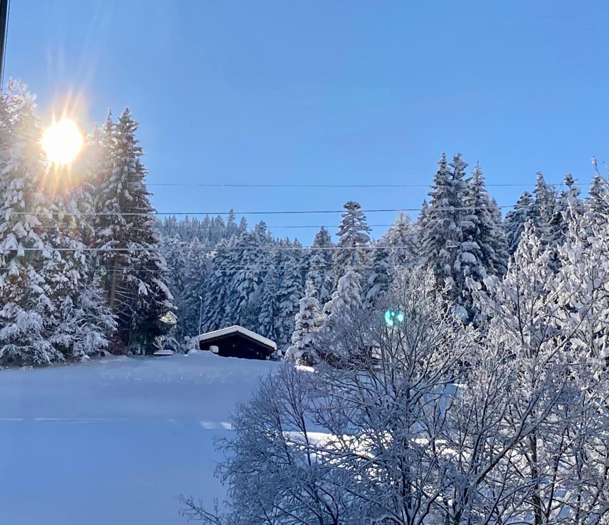 Ferienwohnung Haus Am Bach In Toggenburg Wildhaus Dış mekan fotoğraf