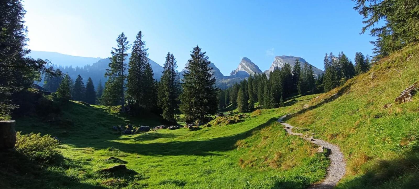 Ferienwohnung Haus Am Bach In Toggenburg Wildhaus Dış mekan fotoğraf